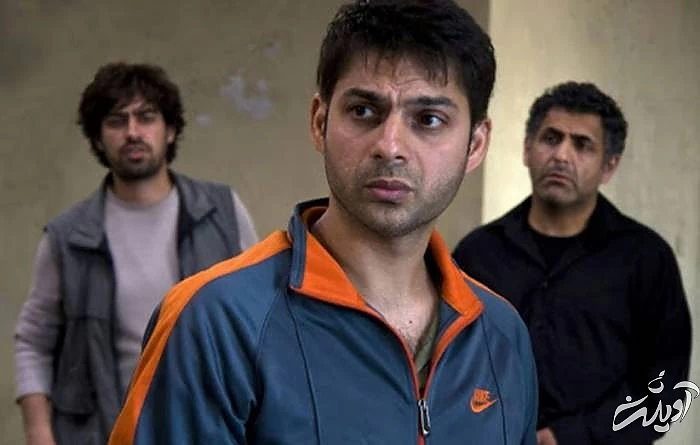 مانی حقیقی، پیمان معادی و شهاب حسینی در درباره الی مانی حقیقی و پیمان معادی